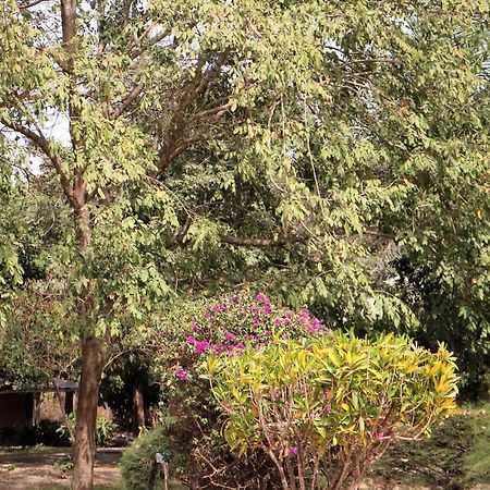Yuna Village Garden Resort Tubaya Eksteriør billede